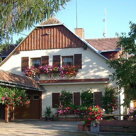 Pension Ivanka Jestrabi V Krkonosich Экстерьер фото